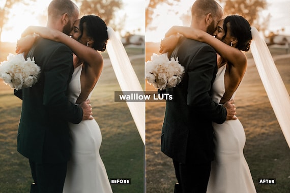 Gold LUTs | 10 Golden Video editing LUTs | LUTs for premiere pro, LUTs for Final Cut Pro  | Video presets for DaVinci | Top Golden hour LUTs