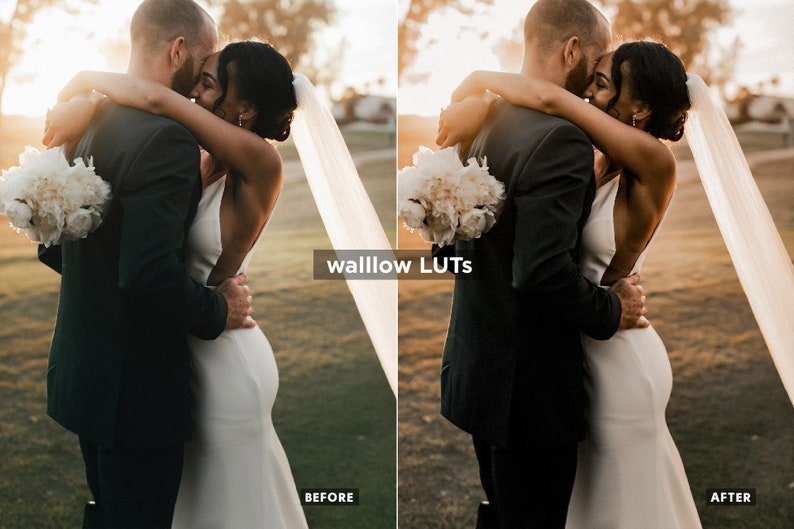 Gold LUTs Golden Video editing LUTs