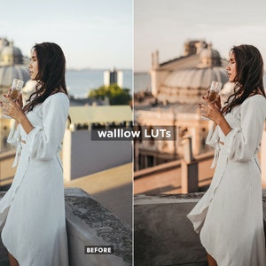 Gold LUTs Golden Video editing LUTs