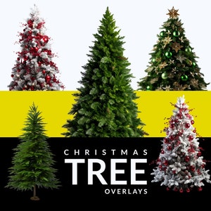May include: Five artificial Christmas trees with different decorations. The trees are decorated with red and white ornaments, gold and green ornaments, and white snow. The trees are arranged in a row against a yellow and black background. The text "Christmas Tree Overlays" is displayed below the trees.