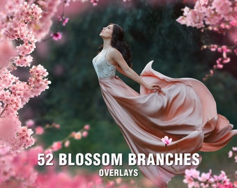 52 Painted blossom branches photo overlays, Cherry blossom, Wedding overlays, Flowering tree branches, Floral overlays, Spring overlay, PNG