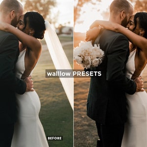 Gold Brown Desktop & Mobile Lightroom Presets