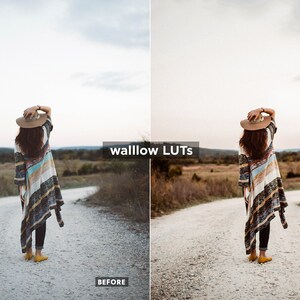 Gold LUTs Golden Video editing LUTs