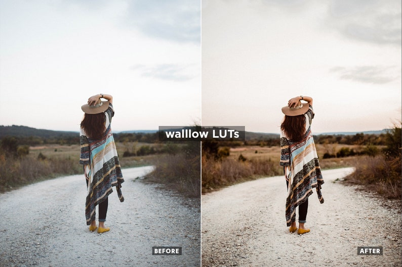 Gold LUTs Golden Video editing LUTs