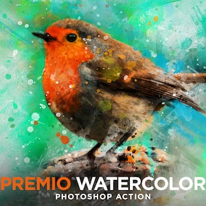 May include: A watercolor effect Photoshop action called "Premio Watercolor" featuring a robin perched on a branch with a green and blue background.