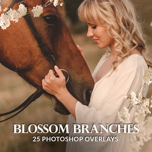 Blossom branches digital maternity backdrop overlays photoshop PNG flowering tree branches spring Floral overlays blooming tree branch