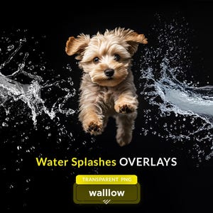 Water Splash Overlays, Realistic Transparent PNG Effects | Digital Water Textures for Photography | Water Splashes Clipart, Digital download