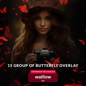Realistic Butterflies png Photoshop Transparent Overlays, Moth & Butterflies overlay for newborn maternity outdoor photography, easy to use