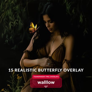 Realistic Butterfly png and Moth Photoshop Overlays Transparent PNG, Flying Butterflies PNG for newborn maternity outdoor photo overlays