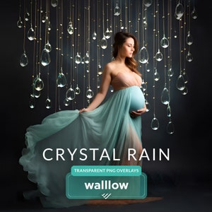 Hanging Crystals Maternity digital backdrop overlays Photoshop fine art texture digital background for Maternity photos, studio portraits