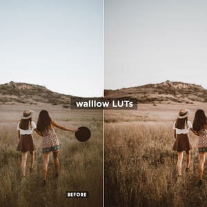 Gold LUTs Golden Video editing LUTs