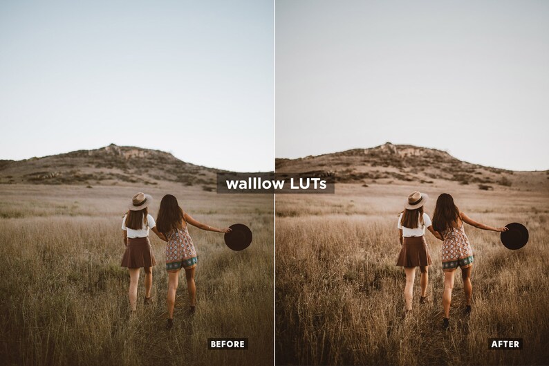 Gold LUTs Golden Video editing LUTs