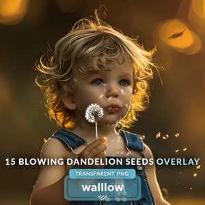 Dandelion overlays, Blowing Dandelion Seeds Transparent Overlays, Dandelion png, Dandelion flowers Spring Botanical Photoshop overlays