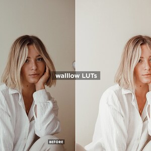 Vanilla Video Editing LUTs Adobe Premiere Pro LUTs Pack