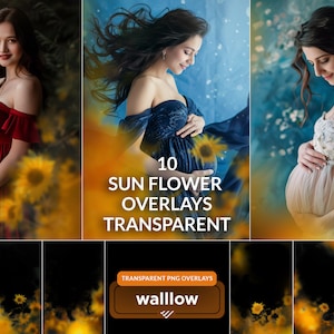 sunflower foreground focus out PNG maternity backdrops overlays Floral Branch Overlays Flower Branch Digital Overlays Blurred Branch overlay