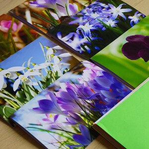Set de tarjetas de felicitación "Magia de la Flor": 6 fotos macro del jardín