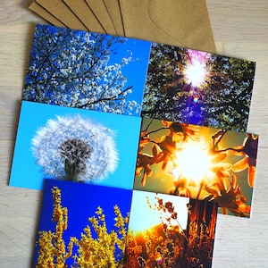 Grußkarten-Set "Sonne und Blüten" – 6 Motive voller Licht und Blüten