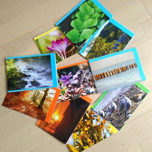 Set de cartes de vœux "Nature in Focus" - 10 pièces avec motifs de paysages, de nature et d'animaux