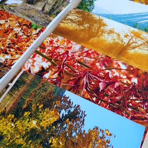 Set di biglietti d'auguri "Magia d'autunno" – 10 motivi autunnali e paesaggistici