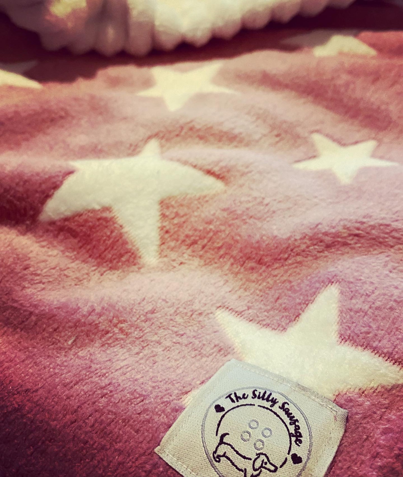 Silly Sausage Fleece Snuggle Sack Blanket Dogs Cats Pets Grey Etsy