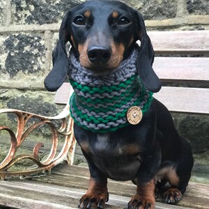 May include: A black and tan dachshund wearing a green and gray knitted scarf with a wooden tag that says "The Little Sausage Co."