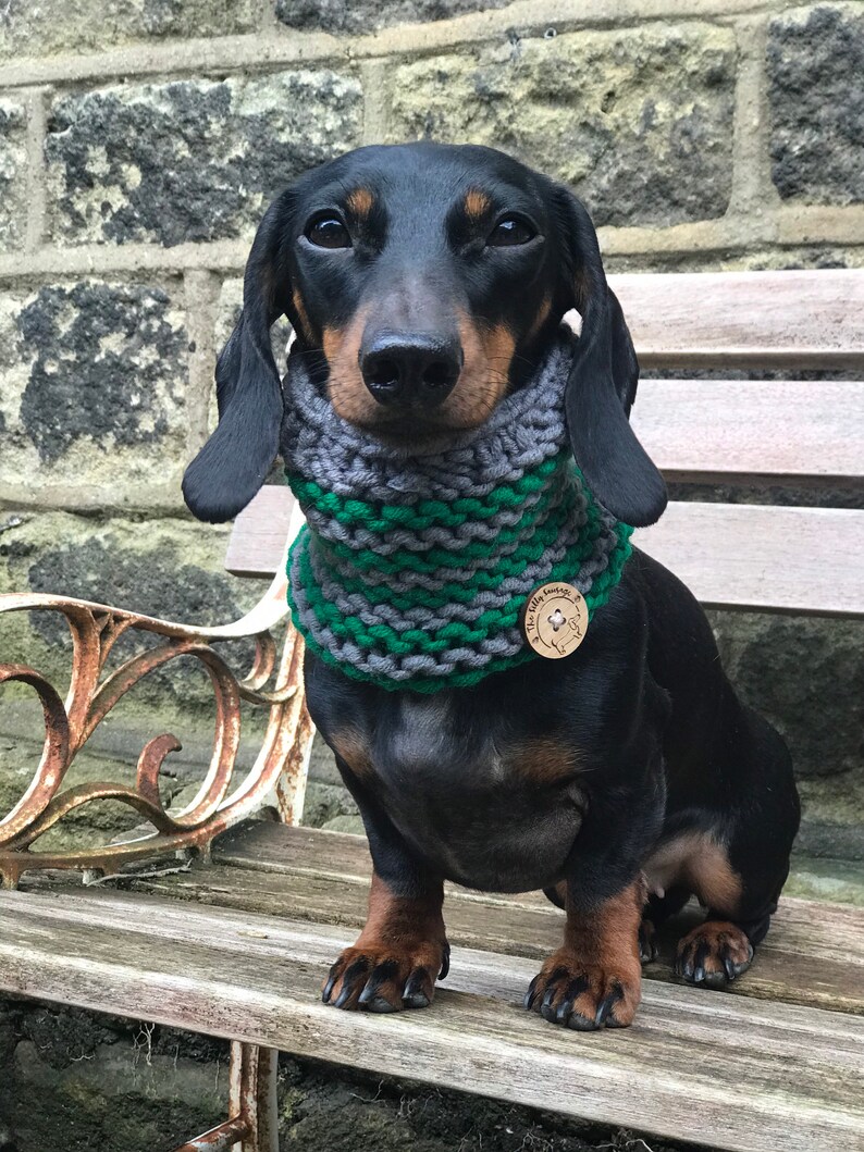 May include: A black and tan dachshund wearing a green and gray knitted scarf with a wooden tag that says "The Little Sausage Co."
