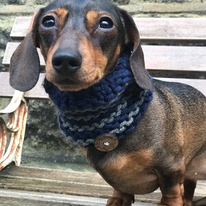 May include: A brown and black dachshund wearing a blue and gray knitted scarf with a wooden button that says "The Dilly Dog Co."