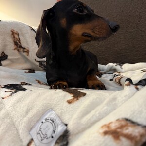 May include: A black and tan Dachshund dog is lying on a white blanket with a repeating pattern of Dachshunds in various poses. The blanket has a tag that reads "The Little Laundry". The dog is looking to the right.
