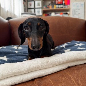 snuggle sacks and blankets perfect for dogs and cats in a lovely star design.  cute and cosy. perfect for at home and travel