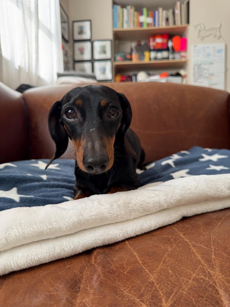 snuggle sacks and blankets perfect for dogs and cats in a lovely star design.  cute and cosy. perfect for at home and travel