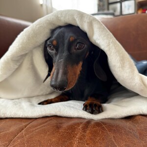 snuggle sacks and blankets perfect for dogs and cats in a lovely star design.  cute and cosy. perfect for at home and travel