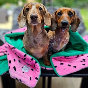 Watermelon Silly Sausage Fleece Snuggle Sack Blanket Dogs Cats Pets Green Pink Black image 1