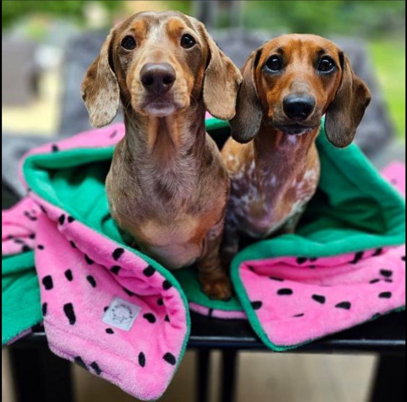 Watermelon Silly Sausage Fleece Snuggle Sack Blanket Dogs Cats Pets Green Pink Black image 1