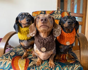 Silly Sausage Knitted Dog Snood Chunky Knit Autumn Colours Yellow Orange Brown Wool Button Handmade