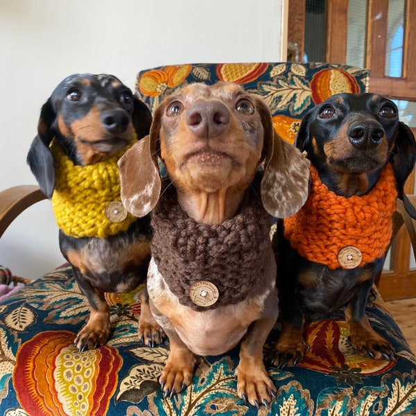 Silly Sausage Knitted Dog Snood Chunky Knit Autumn Colours Yellow Orange Brown Wool Button Handmade