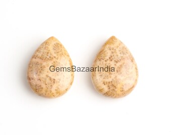 Fossile Coral Pear Briolette Edelstein-Perlen: 12 x 16 mm, AAA Qualität (2 Stück)
