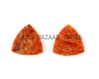May include: Two triangular orange coral cabochons with a marbled pattern.  GEMS BAZAAR INDIA is printed on the image.