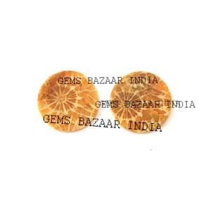 May include: Two round, orange and brown fossilized coral cabochons. The cabochons have a natural, organic pattern. The text "Gems Bazaar India" is printed on the cabochons.