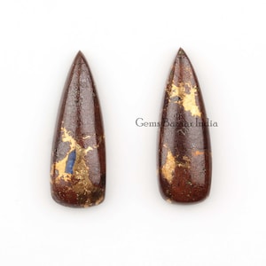 May include: Two brown teardrop-shaped stones with gold flecks and a blue accent.  Gems Bazaar India.