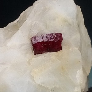 May include: A close-up of a natural mineral specimen. A deep red, rectangular crystal is set in a large, white, opaque rock. The crystal has a textured, layered surface, contrasting with the smooth, surrounding matrix. A striking geological formation.