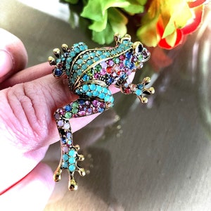 Colorful Frog Brooch, Frog Brooch Pin, Colorful Toad Brooch, Frog Brooch, Frog Jewellery, Frog Gift, Toad Pin