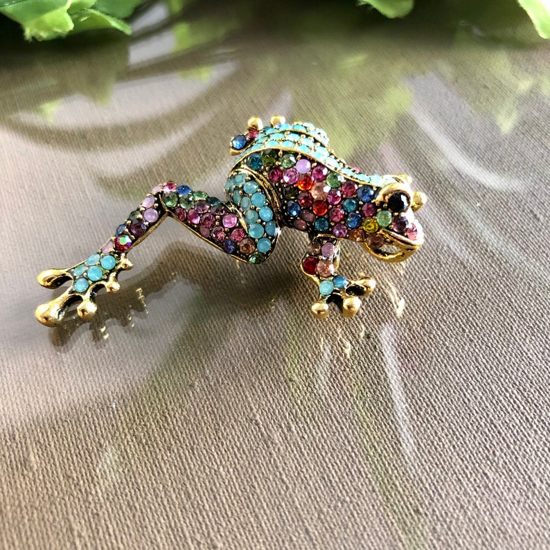 Colorful Frog Brooch, Frog Brooch Pin, Colorful Toad Brooch, Frog Brooch, Frog Jewellery, Frog Gift, Toad Pin image 5