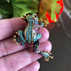 Colorful Frog Brooch, Frog Brooch Pin, Colorful Toad Brooch, Frog Brooch, Frog Jewellery, Frog Gift, Toad Pin image 9