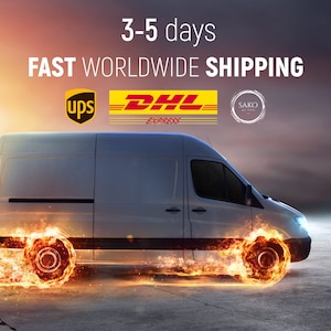 May include: A white delivery van with flames coming from the wheels, driving fast. The van has logos for UPS, DHL Express, and Sako Art Studio. The text "3-5 days FAST WORLDWIDE SHIPPING" is at the top of the image.