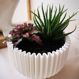 Op de afbeelding: Een witte keramische pot met een geribbeld ontwerp, met twee vetplanten. De pot heeft een brede, ronde basis en een smalle opening. De planten zijn een groene vetplant met lange, puntige bladeren en een rood-groene vetplant met kortere, bredere bladeren.