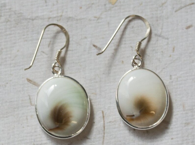 Shiva Shell Earrings Shiva Eye Jewelry 925 Sterling Silver Handmade Jewelry Beautiful Jewelry Gift Oval Shape Earrings Sale