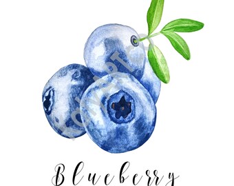 Blueberry Clipart Etsy