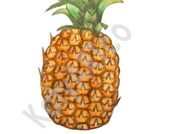 Pineapple Clipart Sublimation, Watercolor, Pineapple  Illustration, Fruit Digital PNG, Watercolor Fruit,  Watercolor Clipart