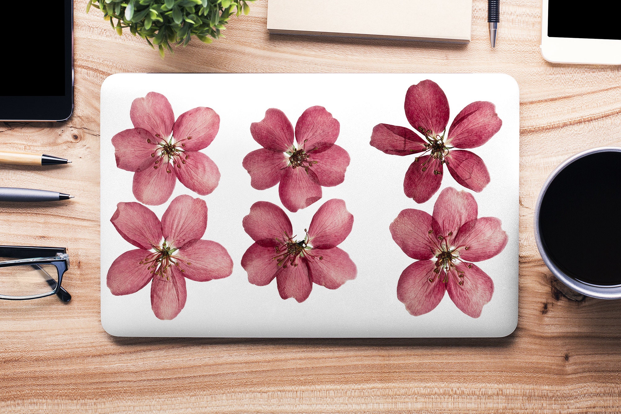 Red Pink Cherry Blossom Flowers on White UNIVERSAL Laptop Skin ...