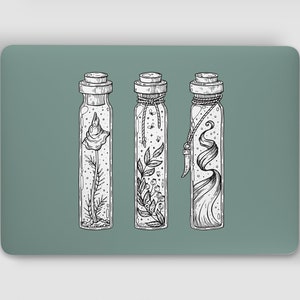 Op de afbeelding: Drie glazen flessen met kurken, elk met een ander botanisch element. De flessen staan op een lichtgroene achtergrond.